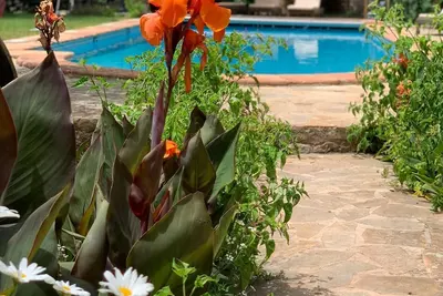 Image de A luxury 4 bed finca in the Soller valley with vineyards, orchards and horses