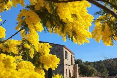 Image de Mas La Cassanya