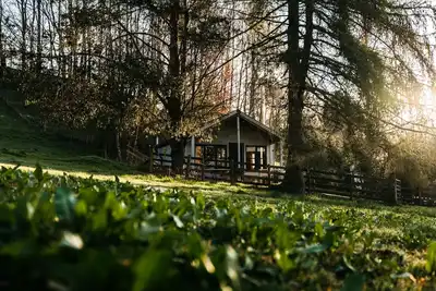 Image de Idyllic wooden cabin 45 minutes away from Edinburgh & Glasgow