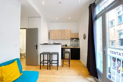 Hypercentre Toulouse 3 : appartement équipé et meublé