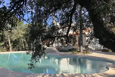 Image de Villa tournée vers la  nature  au milieu des cigales et des pins