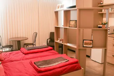 Luxurious suite in the center