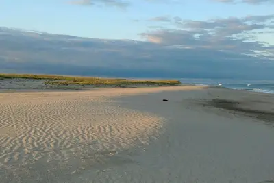 Image de Mid Century Modern Orleans Hideaway