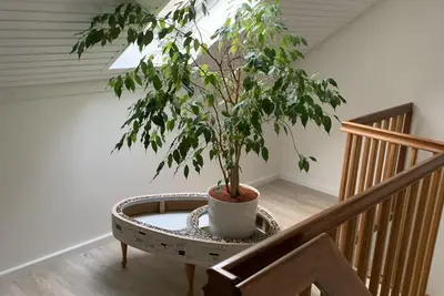 Image de Comfortable house under construction