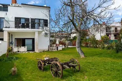 Image de House Viola