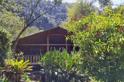 Image de Cloud Forest rustic & cozy cabin
