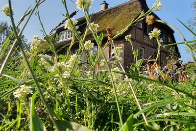 Image de App Freterg Holt with fireplace (40m², 2-4 p. ), near Binz in dreamlike location