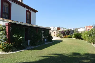 Image de Anacasa Oliva Partida Canyaes Ch752