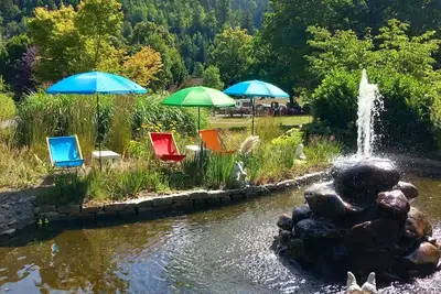 Image de Family vacation & outdoor pool & national park.