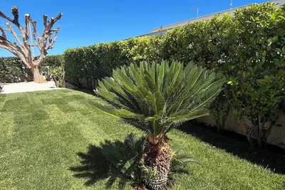 Image de Villa AlbeAle