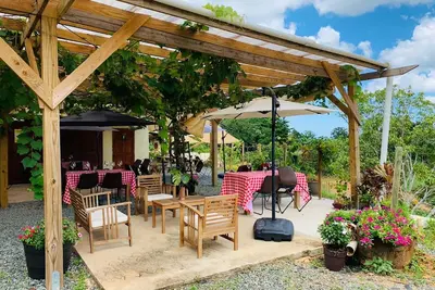 Image de Chateau d'Amelia Winery and Vineyard - Puerto Rico family own winery