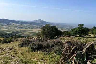 Image de Pour mieux comprendre l'agriculture écologique.