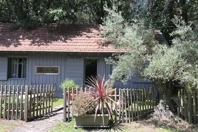 Image de Charmante maison en bois*** typique du Bassin au coeur de la forêt avec vélos