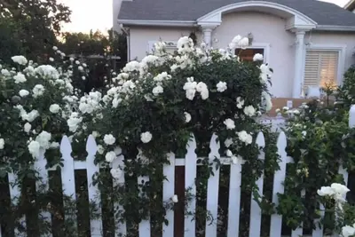 dreamy white Venice house with airy whimsical charm
