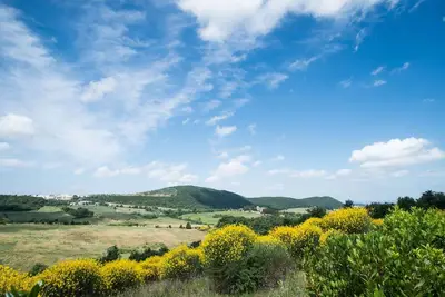 Image de Bel appartement avec climatisation, Wifi, piscine, Tv, patio, animaux admis, vue panoramique