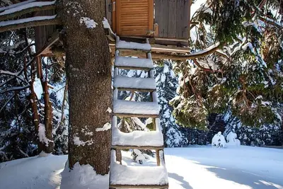 Image de Confortable appartement pour 6 personnes avec Wifi, Tv, patio, animaux admis et vue panoramique