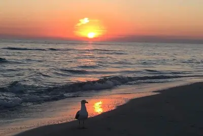 Image de Rilassante casa con giardino in Stintino