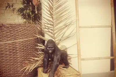 Image de Logement cosy**** piscine chauffée et spa privés