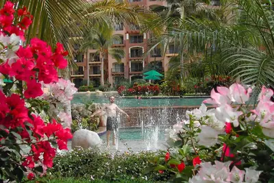 Image de Villa del Palmar Flamingos Resort on the beach sleeps 4