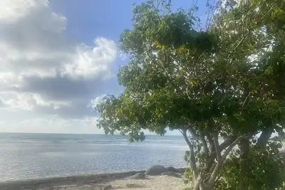 Image de cozy condo minutes from the beach - in the heart of Fajardo ❤️.
