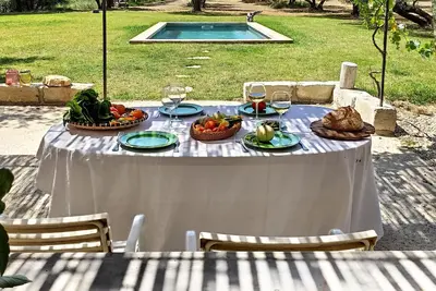 Image de Authentique mazet avec piscine au milieu de 2 hectares d'oliviers