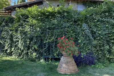 Image de The Villa