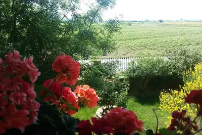 Image de Villa La Mucchia Lavanda # 7