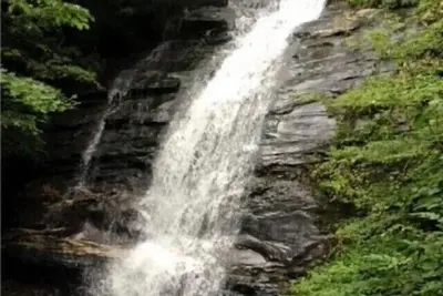 Image de Bearfoot Falls-Privately Owned Waterfall~22 Acres-Hiking trails~Hot Tub~Firepit