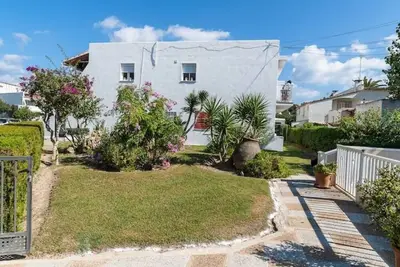 Image de Peter Dolphins