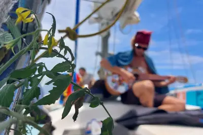 Image de - Sv La Francesca - san blas paradise on bord of private sailboat