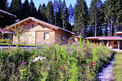 Image de Ferienhaus mit Sauna am Waldrand