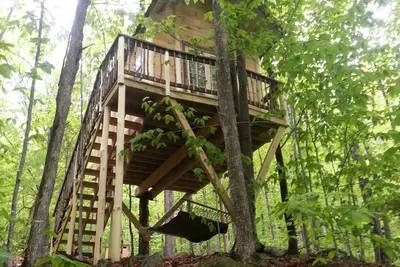 Image de Maine Woods Treehouse-The Birdie