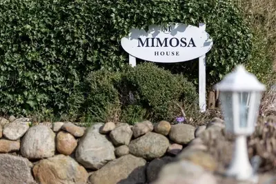 Image de Mimosa House