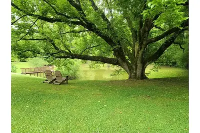 Image de Grace On Trace Homestead BnB (Lower Level)