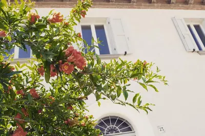Image de The House of Montegiardino