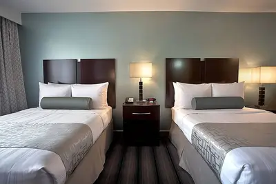 Image de Shop ‘til you drop on the Magnificent Mile! Rooftop Deck