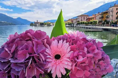Image de Among the colors of Alto Lario