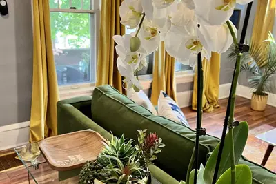 Image de Apartment with a boho, relaxed and soulful vibe in the heart of Highland Square.