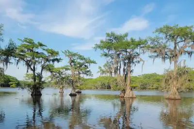 Image de Waterfront, close to Caddo State Park, walk to Shady Glade, vast deck, remodeled