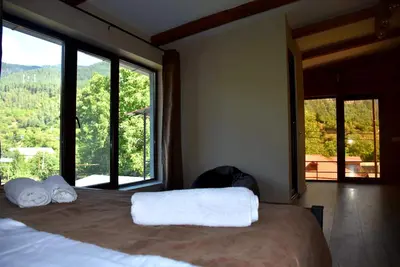 holliday home borjomi