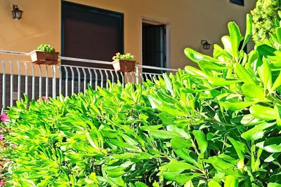 Image de Villa