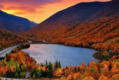 Image de Private 3 Br-  2 level - Townhouse in Forest Ridge