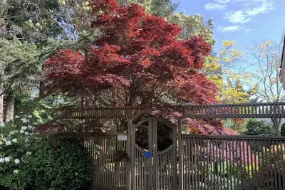 Image de A quiet, private suite overlooking a quaint lake