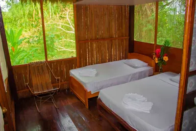 Image de Tambopata Log