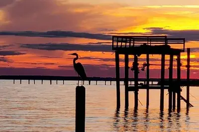 Image de Waterfront Home W/ Private, Soft Sandy Beach & 300' Dock