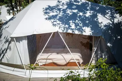 Image de Domes Beech