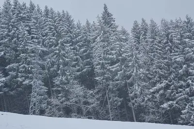 Image de Mountain view Torgon