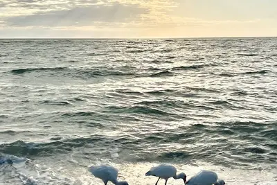 Image de Very Cute Cottage, in Bonita- Queen Bed + 2 Rollaway Beds. Near the Beach!