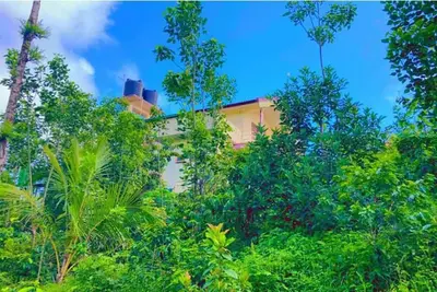 View point homestay Coorg! !