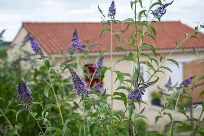 Image de Maison tout confort au cœur du Périgord avec jardin, parking et Wi-Fi